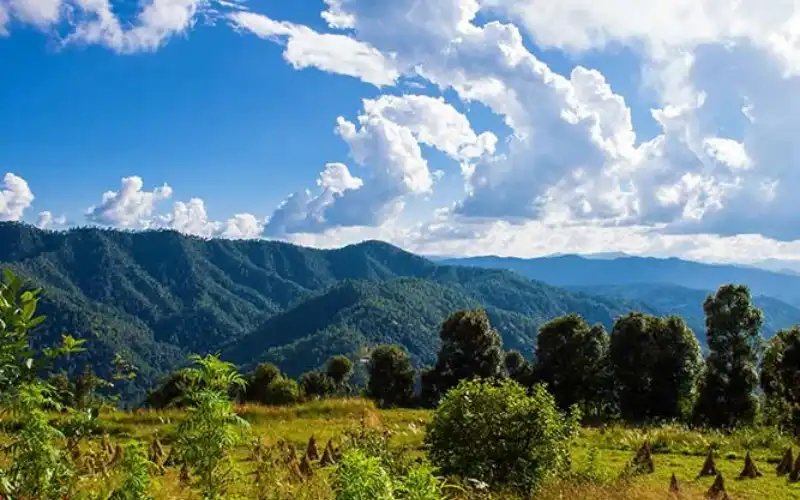 Binsar Trek