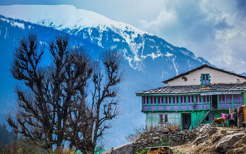 Kasol Tour Packages 